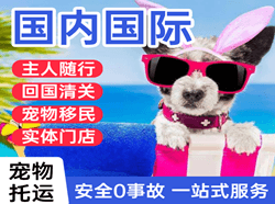 阿拉尔塔里木航空快运国际宠物托运 【国